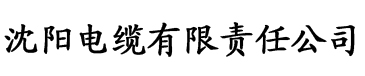 高h文np电缆厂logo